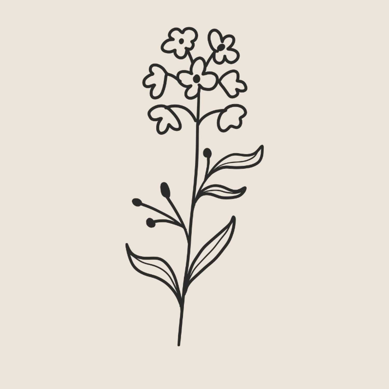 Portrait of Brianna, a professional stylist at Renaissance Salon, showcasing their expertise and style.