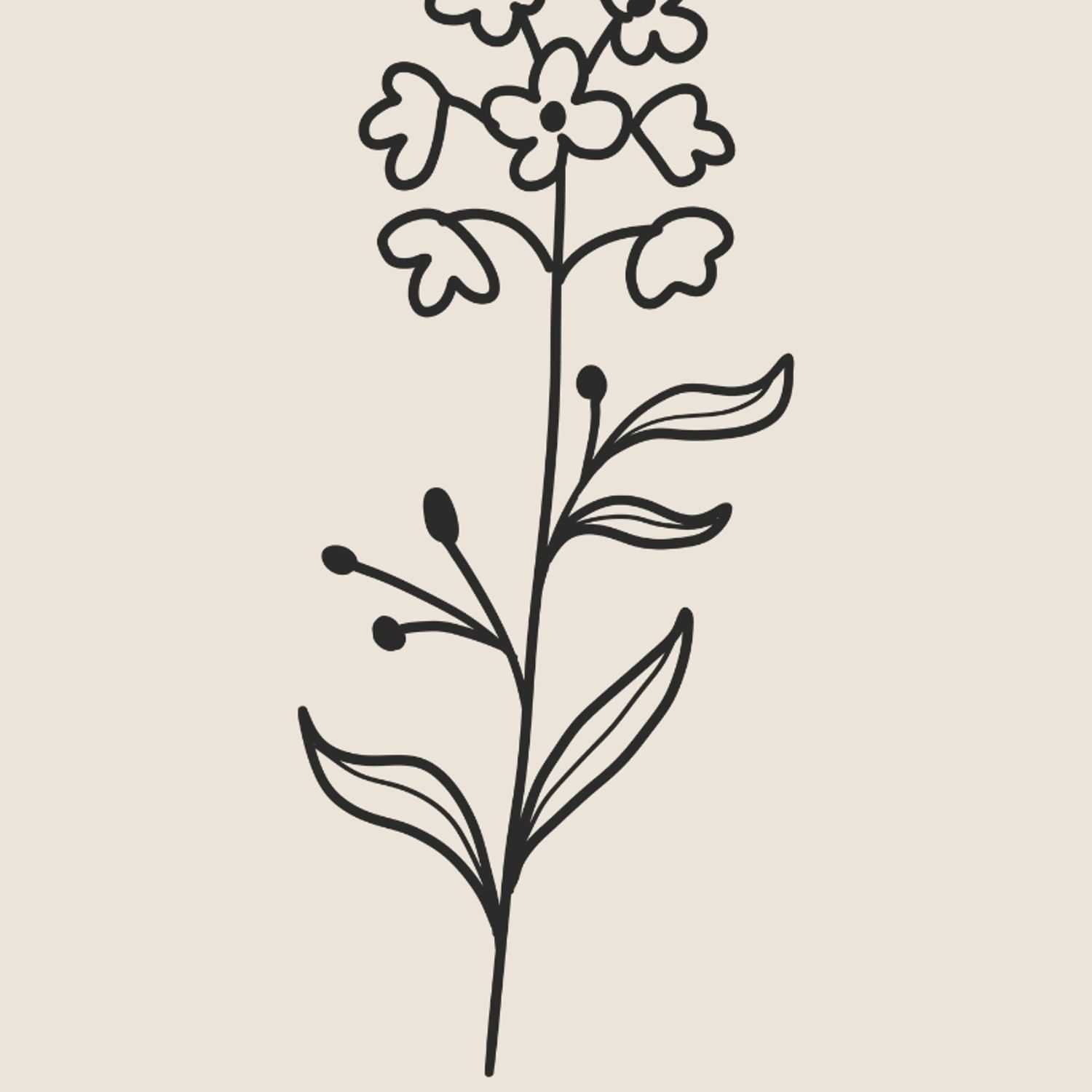 Portrait of Lisa C, a professional stylist at Renaissance Salon, showcasing their expertise and style.