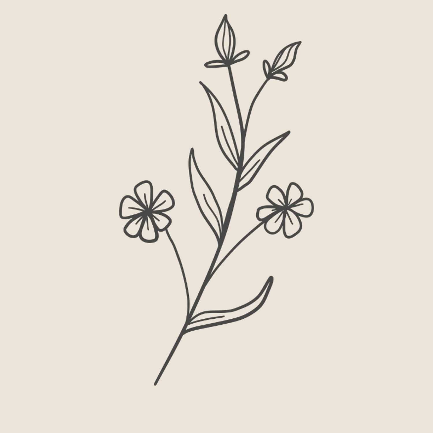 Portrait of Lacey, a professional stylist at Renaissance Salon, showcasing their expertise and style.